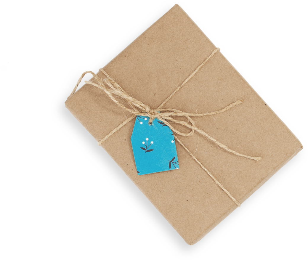 Wrapped gift